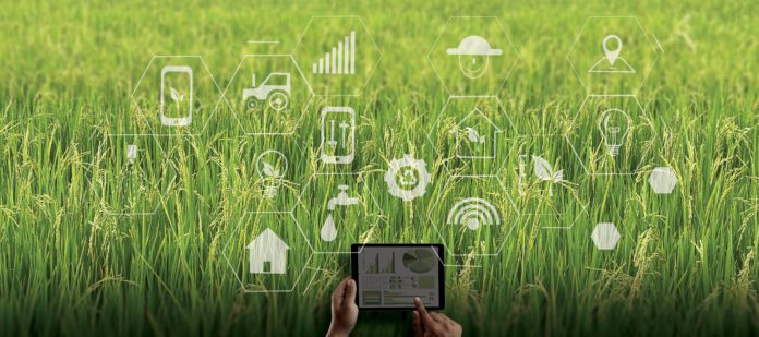 The Role 5G Can Play in Global Sustainability Efforts.